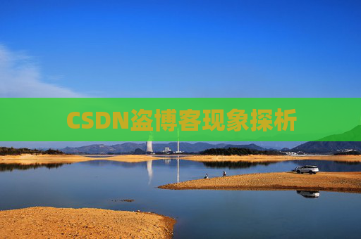CSDN盗博客现象探析